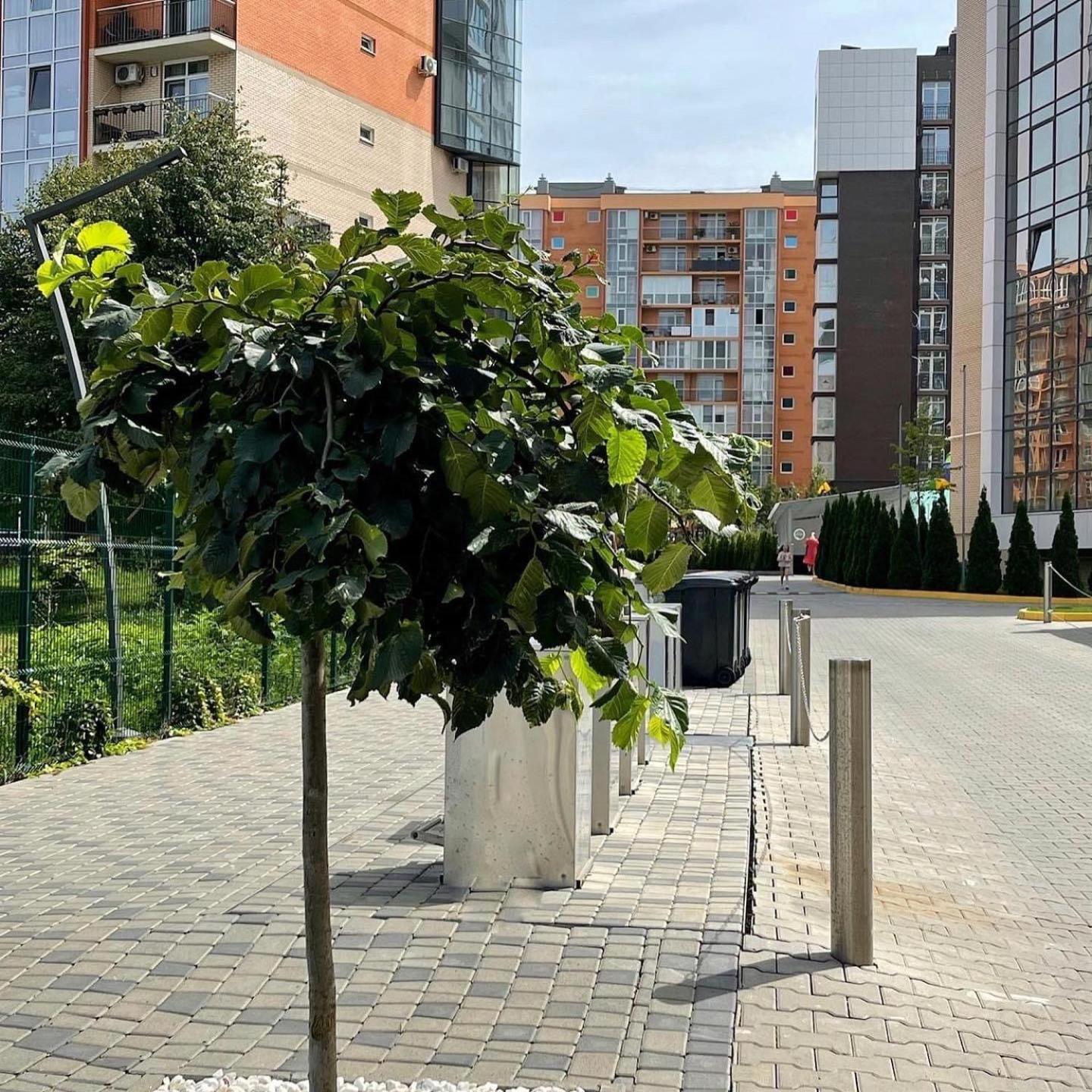 Vodogray Luxury Apartments With Underground Parking Елітний Житловий Комплекс Chernivtsi Exterior foto