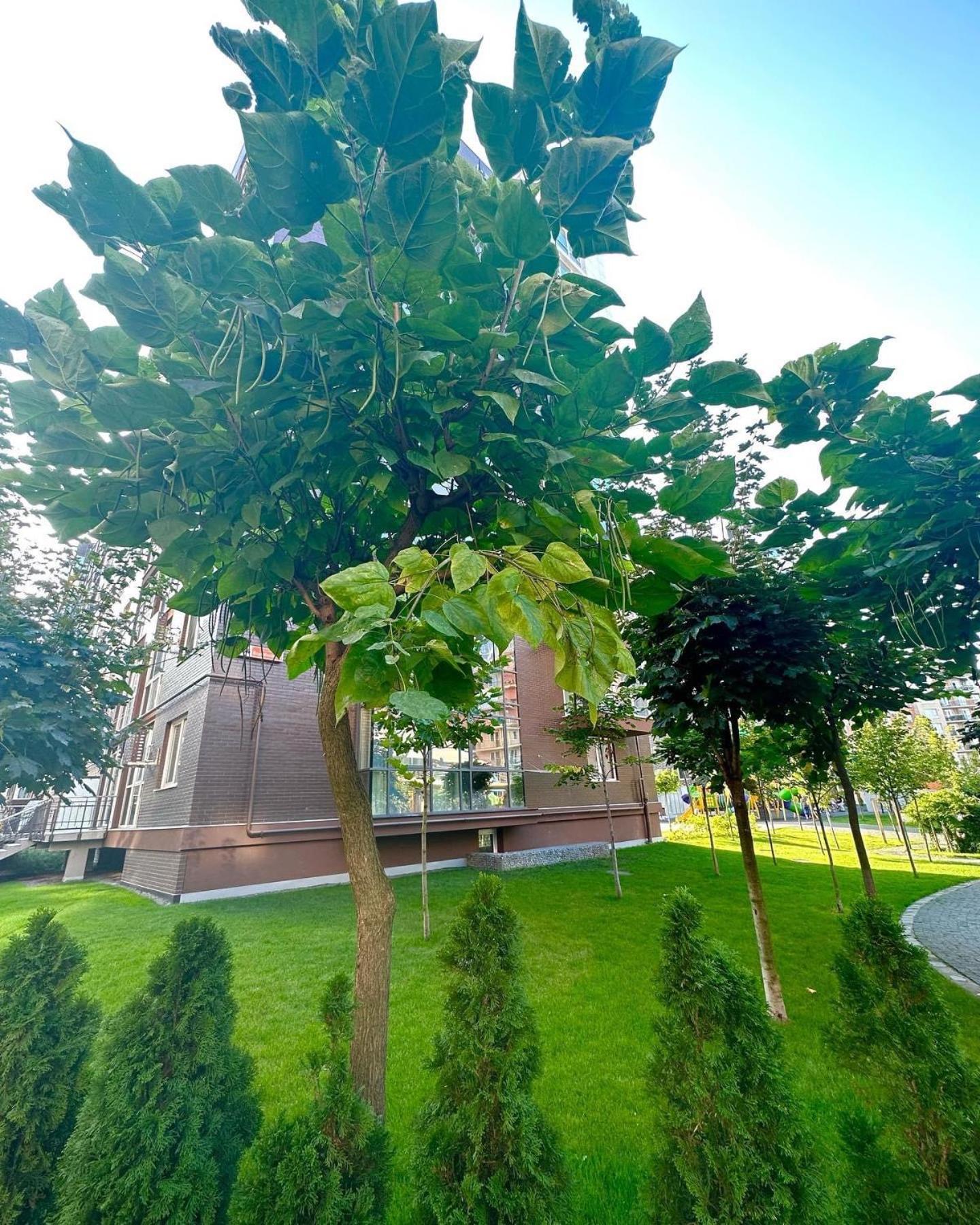Vodogray Luxury Apartments With Underground Parking Елітний Житловий Комплекс Chernivtsi Exterior foto