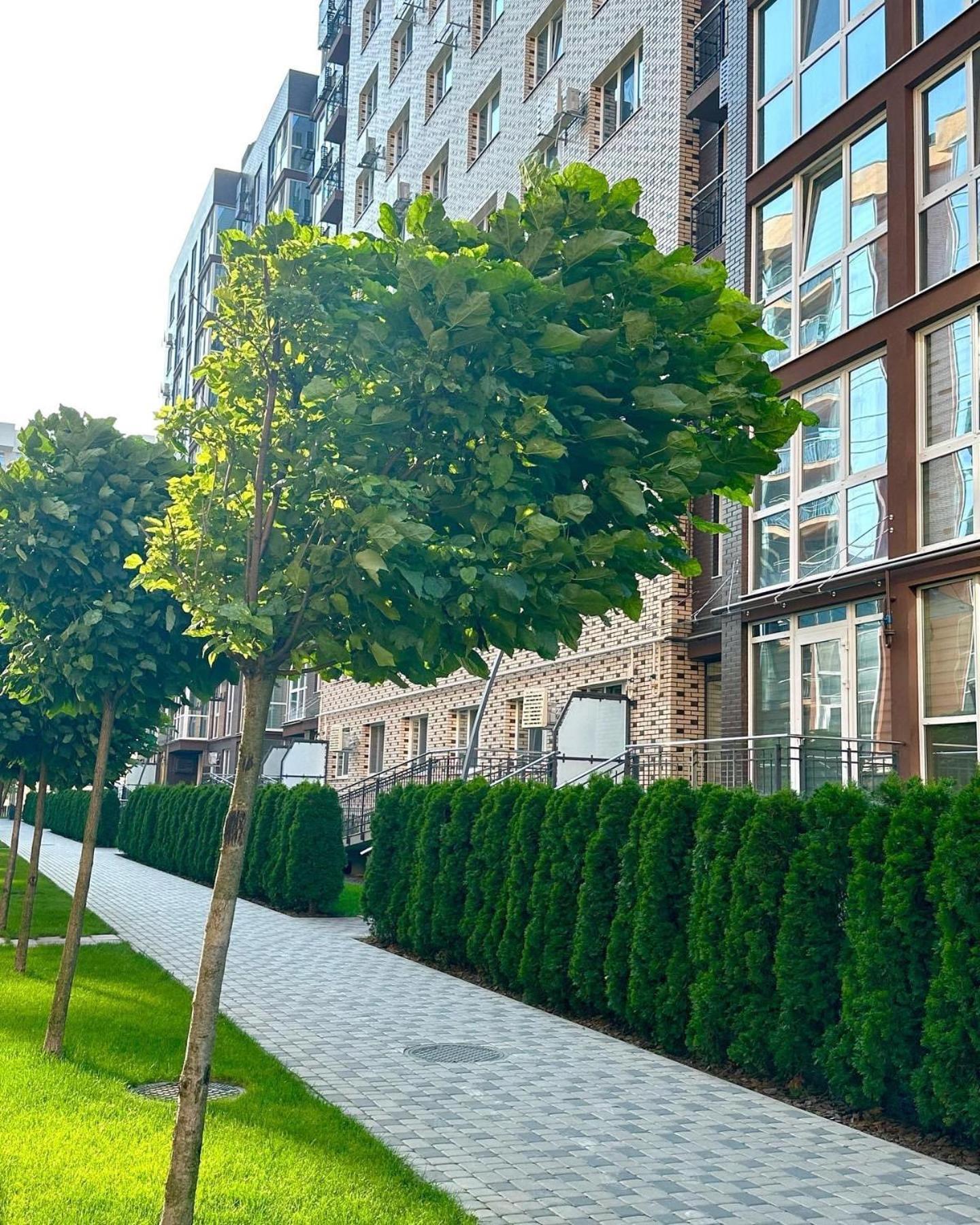 Vodogray Luxury Apartments With Underground Parking Елітний Житловий Комплекс Chernivtsi Exterior foto